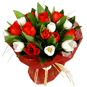 Romantic gift - 106-213-16473 - Floral Nothing can beat a bunch of tulips fresh from the  sku 106-213-16473