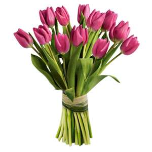 Magic Tulips - 104-311-16893 - Floral Like a sweetshop package of enchanted candies, thi sku 104-311-16893