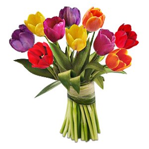 Temptation - 104-311-16899 - Floral A combination of mixed tulips that have an uncanny sku 104-311-16899