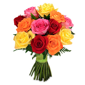 Rainbow Roses
