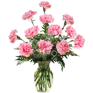 Carnation Vase