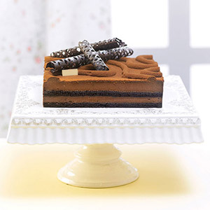 Chocolate Sponge Cake - - 17.6oz/500g
