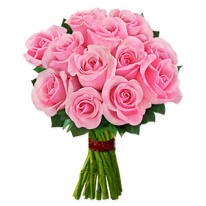 One Dozen Pink Roses