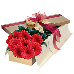 Free Delivery Flowers on 99 Buy Free Delivery Majestic    49 99 Buy Free Delivery Mayflower