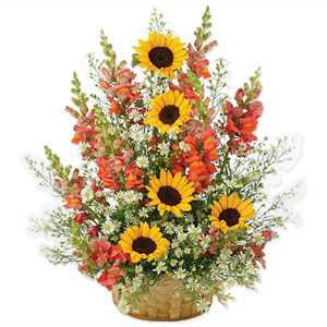 Sunflower Surprise