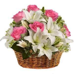 Sentimental Surprise