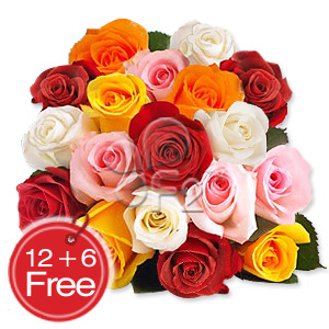 Free Flower Delivery on 99 Buy Free Delivery Rainbow Burst    66 98    62 99 Buy Free Delivery