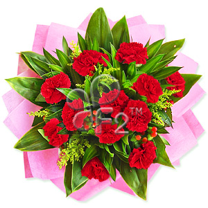Free Flower Delivery on Free Delivery Sparkling Light    45 99 Buy Free Delivery Art Nouveau