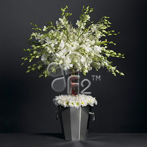 Arbol en flor