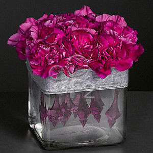 Jewel Box, Purple