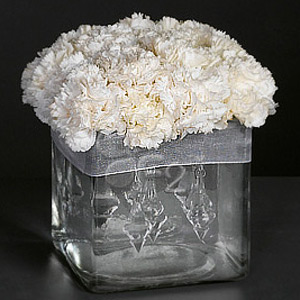Jewel Box, White