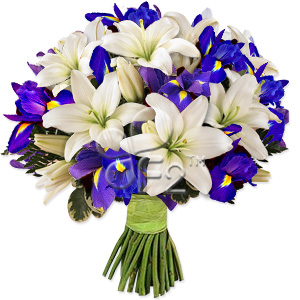 Kliknij aby powiększyć zdjęcie.