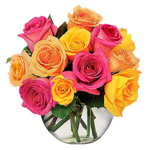 Kliknij aby powiększyć zdjęcie.