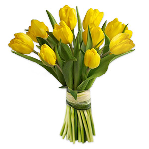 Happiness Tulips