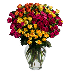 Kliknij aby powiększyć zdjęcie.