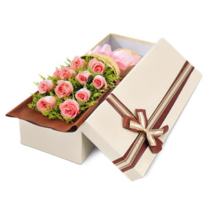 Kliknij aby powiększyć zdjęcie.