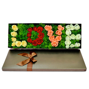 Kliknij aby powiększyć zdjęcie.