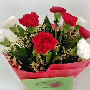 Red and White Carnations