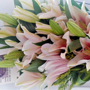 Elegant Bouquet of Pink Lilies