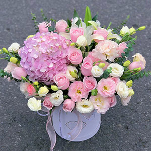 Kliknij aby powiększyć zdjęcie.