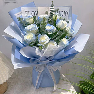 Kliknij aby powiększyć zdjęcie.