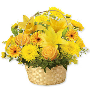 Kliknij aby powiększyć zdjęcie.