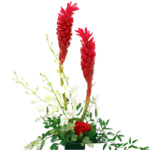 Kliknij aby powiększyć zdjęcie.