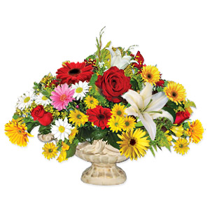 Kliknij aby powiększyć zdjęcie.