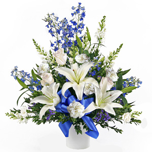 Kliknij aby powiększyć zdjęcie.