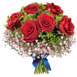 Kliknij aby powiększyć zdjęcie.