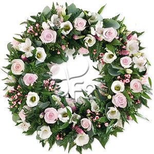 Kliknij aby powiększyć zdjęcie.