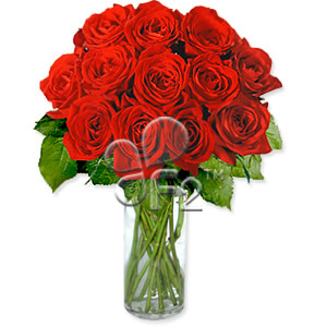 Kliknij aby powiększyć zdjęcie.