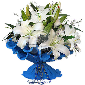 Kliknij aby powiększyć zdjęcie.