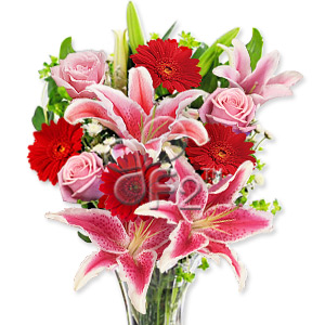 Kliknij aby powiększyć zdjęcie.