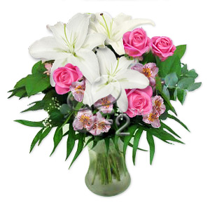 Kliknij aby powiększyć zdjęcie.