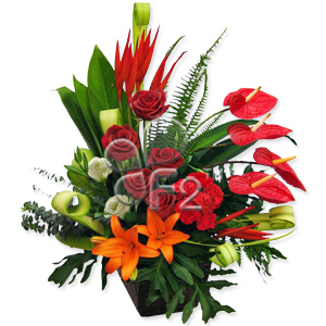 Kliknij aby powiększyć zdjęcie.