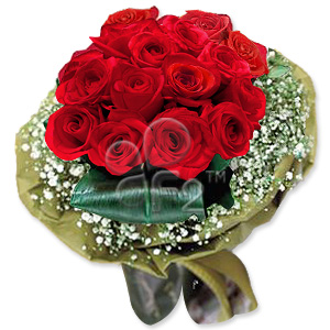 Kliknij aby powiększyć zdjęcie.