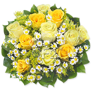 Kliknij aby powiększyć zdjęcie.