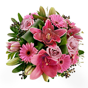 Kliknij aby powiększyć zdjęcie.