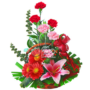 Kliknij aby powiększyć zdjęcie.