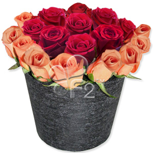 Kliknij aby powiększyć zdjęcie.