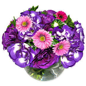 Kliknij aby powiększyć zdjęcie.