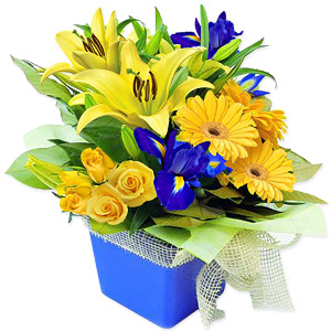 Kliknij aby powiększyć zdjęcie.