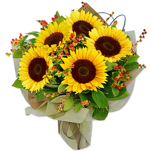 Kliknij aby powiększyć zdjęcie.