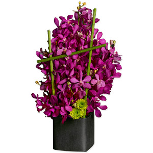 Mokara Trellis